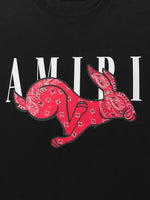 AMIRI