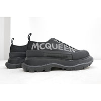 ALEXANDER MCQ