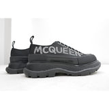 ALEXANDER MCQ