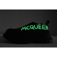 ALEXANDER MCQ