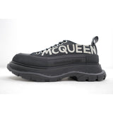 ALEXANDER MCQ