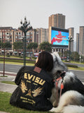 EVISU