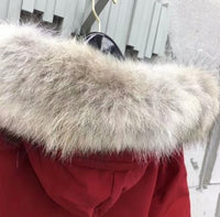 CANADA GOOSE