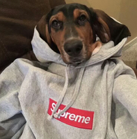 SUP