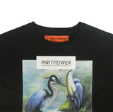 HERON PROSTON