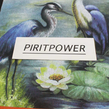 HERON PROSTON