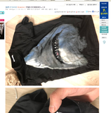 필웨이 인증자료입니다.