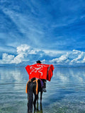 ARCTERYX