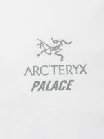 ARCTERYX X PALACE