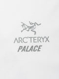 ARCTERYX X PALACE