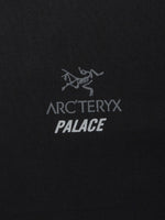 ARCTERYX X PALACE