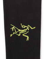 ARCTERYX