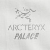 ARCTERYX X PALACE