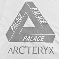 ARCTERYX X PALACE